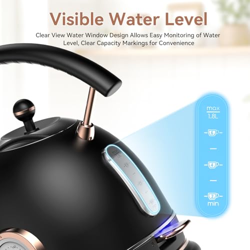 Rasonic Retro Electric Kettle Stainless Steel, 1.8L Tea Water Boiler, 1500W Fast Quiet Boil, Temperature Gauge, Auto Shut-Off, Boil-Dry Protection, Matt Black and Rose Gold - color: Black