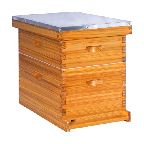8 Frame Langstroth Beehive Kit Dipped in Heavy Beeswax Bee Hives with 1 Deep Bee Box and 1 Medium Bee Hive Box with Frame and Foundation(Unassembled)