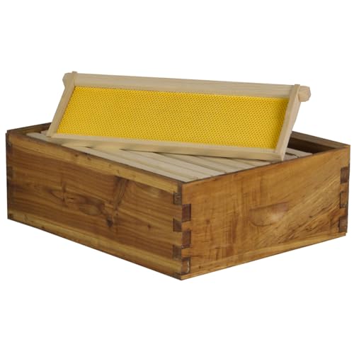 10-Frame Wax-Coated Beehive Kit with Frames – (1) Deep & (1) Medium – Hoover Hives® Original Beeswax Finish