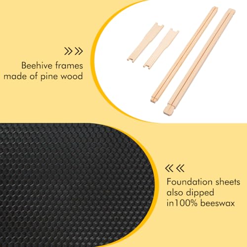 Honey Lake Medium Beehive Frames and Foudations Kit,10 Pack Super Bee Frames with Beeswax Coated Food Grade Plastic Foundations for Beekeeping (Black) - color: 10Pack-Black