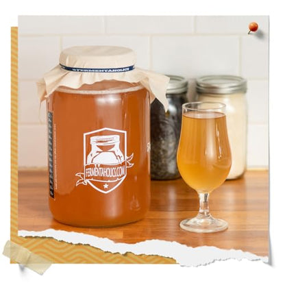 Fermentaholics BIG MOMMA Kombucha SCOBY – 12 fl o z – 6" Pellicle + 12 oz Starter Tea – Organic Kombucha Culture – Makes 1 Gallon