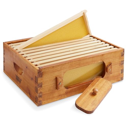 Honey Keeper Medium Super Brood Box with Window, 100% Beeswax Coated Beehive Kit with 10 Wooden Frames and Waxed Foundations for Langstroth Beekeeping - color: Yellow, size: Medium Super Box