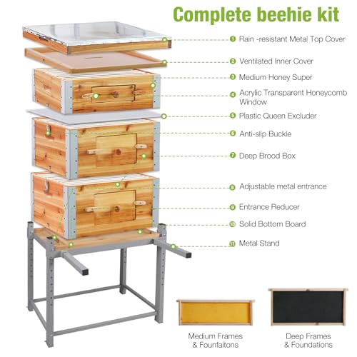 GUTINNEEN Bee Hive with Metal Frame, 10 Frame Bee Hives Boxes Dipped in 100% Beeswax,Bee Keeping Supplies-All Starter Kit Includes Wooden Frames & Waxed Foundations