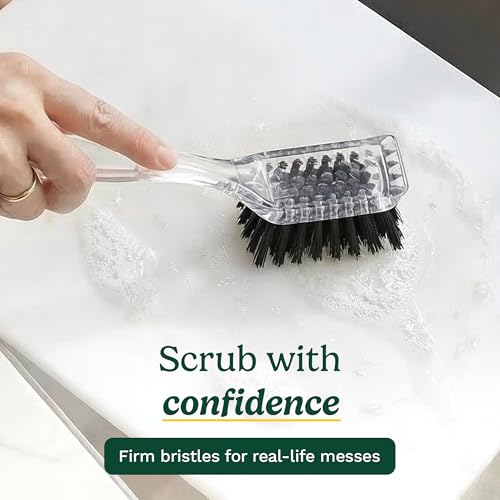 Cuisinart Dish Brush with Handle, 2 Pack, Firm Bristles | Multi-purpose dish scrubber for plates, pots, and pans, deep cleaning removes grease, safe for nonstick, built-in scraper - color: Rectangular- Black