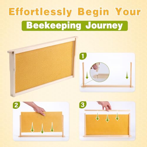 Bee Frames, Deep Beehive Frames with Wax Foundation, 10Pcs Hive Frames, 9-1/8-Inch, Unassembled