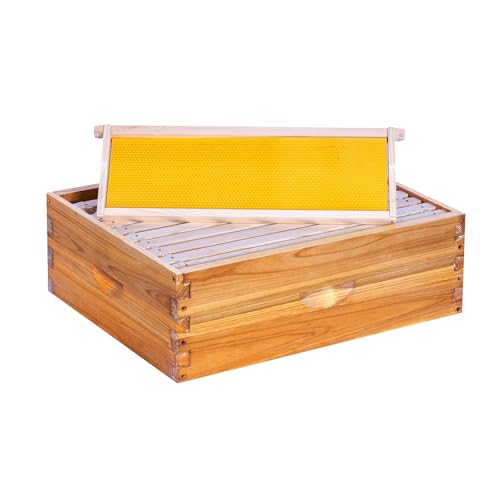POLLIBEE 10 Frame Medium Super Beehive Box, Langstroth Honey Bee Box Dipped in 100% Beeswax Include Bee Hive Frames and Wax Foundations (unassembled) - size: 10 Frame