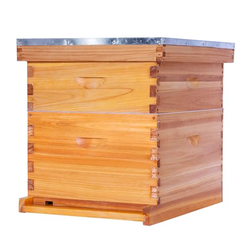 POLLIBEE 10 Frame Bee Hive,Beeswax Coated Beehive Kit for Bee Keeper,Complete Beehive Include 1 Deep Brood Bee Box and 1 Medium Bee Hive Box with Frames and Foundations - size: 2-Layer