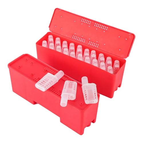 Queen Bee Cage 2 Sets Queen Bee Transport Box Bee Shipping Container with Queen Cage Rearing Tool Queen Cell Plastic Incubator Beekeeping Supplies for Beekeeping Supplies