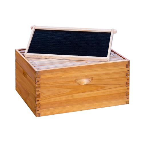 POLLIBEE 10 Frame Beehive Box, Langstoth Deep Brood Box Sections of Wood for Beehives, Bee Box Dipped in Heavy Beeswax Includes Wooden Beehive Frames & Waxed Foundations (Unassembled) - size: 10 Frame Deep Box