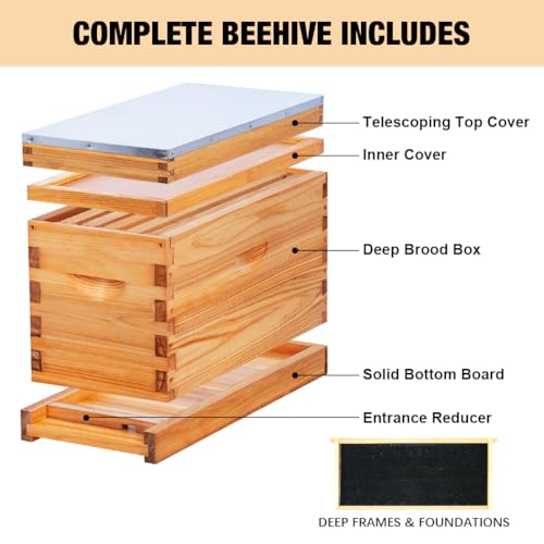 5 Frame Nuc Complete Bee Hive Kit Langstroth Beehive Box Dipped in Beeswax Include Beehive Frames and Waxed Foundation Sheets