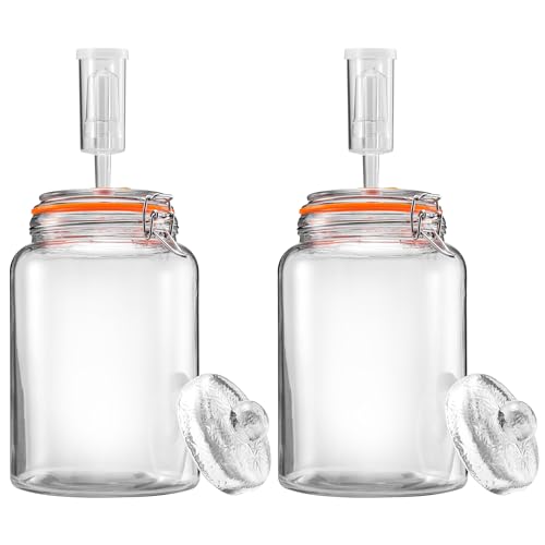 1 Gal Fermentation Kit, Jars, Weights & Airlocks, 2 Pack | Perfect for Sauerkraut, Kimchi, Kombucha and Pickles - size: 1 Gallon