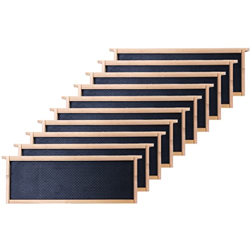 Honey Lake Medium Beehive Frames and Foudations Kit,10 Pack Super Bee Frames with Beeswax Coated Food Grade Plastic Foundations for Beekeeping (Black) - color: 10Pack-Black