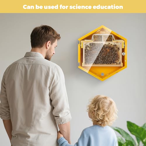Observation Beehive Starter Kit with 3 Frames & 6 Honeycomb Trays, Wall-Mounted Hexagon Bee Hive with Acrylic Viewing Window, Medium Size for Indoor, Garden, or Educational Beekeeping