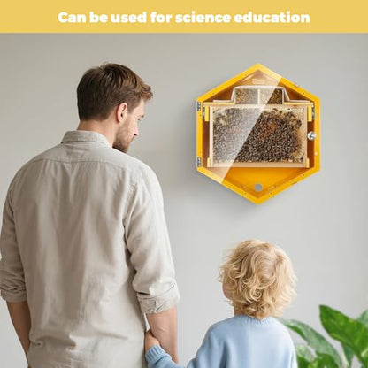 Observation Beehive Starter Kit with 3 Frames & 6 Honeycomb Trays, Wall-Mounted Hexagon Bee Hive with Acrylic Viewing Window, Medium Size for Indoor, Garden, or Educational Beekeeping