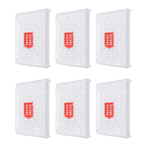 Fdit Square Buckle Queen Bee Cage, Plastic Rearing Cage for Beekeeping with Fine Mesh Grid, Food Grade Lightweight Tool, Introduction of Queens, Anti Escape