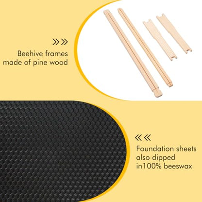 Honey Lake 10 Pack Deep Beehive Frames with Beeswax Coated Foundation Sheets, Unassembled Wooden Deep Bee Frames for Langstroth Beehives (Black) - color: 10Pack-Black