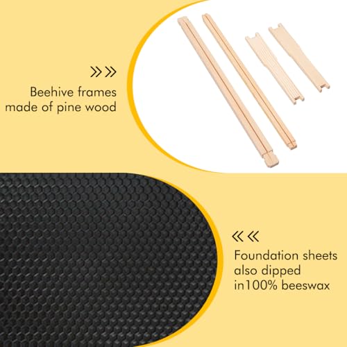 Honey Lake 10 Pack Deep Beehive Frames with Beeswax Coated Foundation Sheets, Unassembled Wooden Deep Bee Frames for Langstroth Beehives (Black) - color: 10Pack-Black