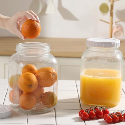 novelinks 2 Pack 1 Gallon Wide Mouth Glass Jars with Airtight Plastic Lids,Clear Square Large Mason Jar, Storage Containers for Fermenting, Pickling, Pantry, Canning - color: Plastic Lid