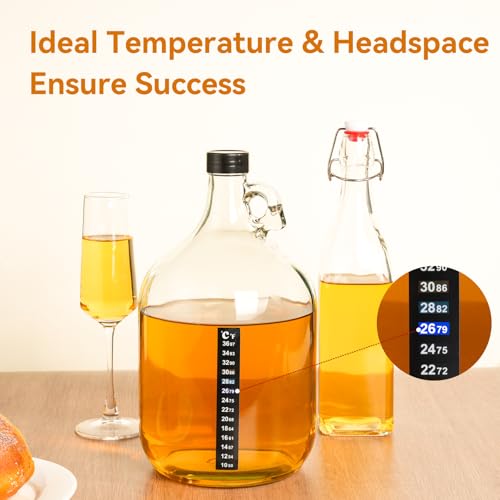 Mead Making Kit for Beginners - Complete Home Brewing Starter Set with Reusable Supplies, 1 Gallon Glass Honey Wine Fermentation Jar with 4 Pcs Bottles Yeast & Nutrients Hydrometer Operation Guide - size: 1 Gallon Kit with 4 Bottles