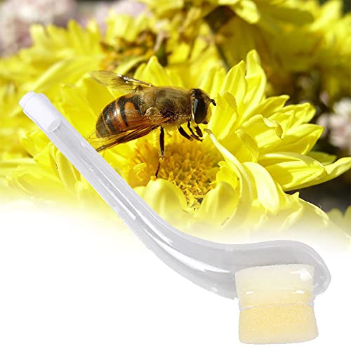 6 Pcs Queen Catcher Pipe Bee Queen Cages Queen Bee Catchers Beekeeping Supplies Beekeeper Accessories Honey Bee Keeping Equipment