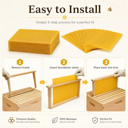 Bee Hive Foundation Sheets - 30 Pcs Pure Beeswax Comb Foundation 7.68 x 16.34 Inch, Beekeeping Supplies for Langstroth Hive Frames, Increases Honey Production & Colony Development