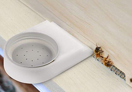 Shadwins Three Entrance and Bee Feeder. Plastic with Metal lid. for Bee Hives- 3 Pack - with lids - Fits Most Small Mouth Canning Jars - Boardman Feeder and Waterer