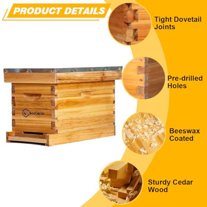 BeeCastle 5 Frame Bee Hive Nuc Box Coated with 100% Beeswax Includes Beehive Frames and Waxed Foundations