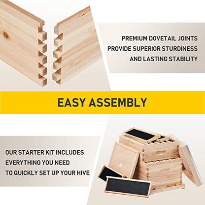 CREWORKS Bee Hive Boxes 10 Frame Langstroth Beehive, Bee Keeping Starter Kit Includes 1 Super Bee Box & 1 Bee Brood Box with Beehive Frames and Foundation, 2 Layers Complete Bee Hive Kit - style: 2 Layer