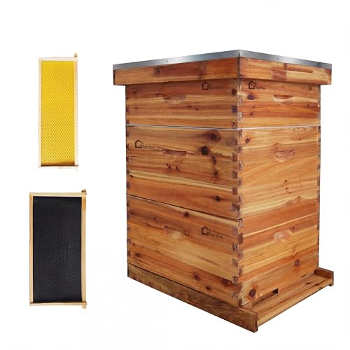 10-Frame Original Langstroth Beehive Kit,100% Beeswax Coated, 2 Deep Brood Boxes & 1 Medium Super Box, Windowless Design, Complete Beekeeping Starter Kit with Frames & Waxed Foundations