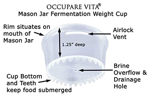 BETTER than Glass Fermentation Weights - Food Grade Plastic Mason Jar Food Fermentation Weights CUPS keep food submerged in brine (12-3" WIDE MOUTH CUPS ONLY, NOT KITS) - size: 12-3" WIDE MOUTH CUPS ONLY, NOT KITS