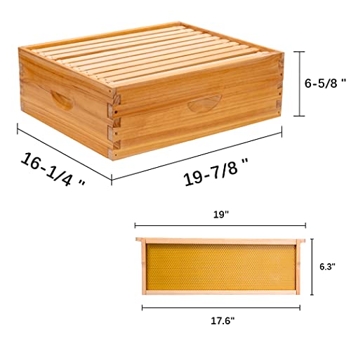 10-Frame Beehive Box Langstroth Medium Super Bee Box for Sale Wax Coated Bee Hives Includes Wooden Frames & Waxed Foundations (Assembled) - style: Assembled