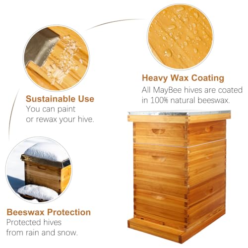 MayBee 10 Frame Screened Bottom Board Beehive Dipped in 100% Beeswax, Bee Hives Kit Includes 2 Deep Boxes & 1 Medium Box with Beehive Frames and Heavy Wax Coated Foundations.Preferred for Summer.