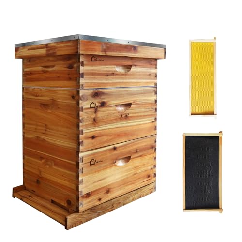10-Frame Complete Beehive Kit with 2 Deep & 1 Medium Box, Beeswax-Coated Cedar Beehive with Frames, Foundation Sheets and Handles, Dovetail Design, Easy to Assemble for All Beekeeping Needs - size: 3 Layer