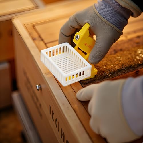 White Queen Marker Cage Clip Bee Plastic Catcher Beekeeper Beekeeping Tools Equipment Plastic Queen Marker Cage Clip Bee Catcher Beekeeper Beekeeping Tools Equipment Beekeeping Supplies