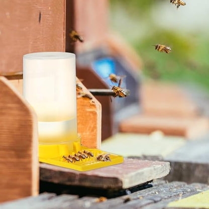 Willinglong 3 Pack Bee Water Feeder Beehive Beekeeping Honeybee Feeders Bee Watering Station Water Beehive Entrance Dispenser Drinking Honey Beekeeping Equipment for Outside Garden