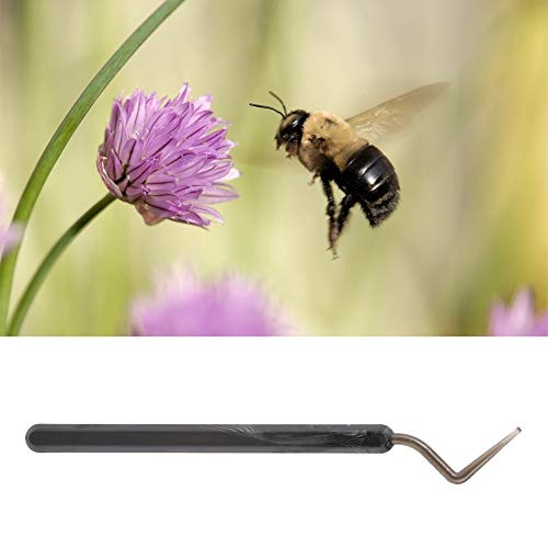 Bee Larva Grafting Tool | 3Pcs Plastic Queen Rearing Kit | Secure Grip for Accurate Transfer | Beekeeping Equipment for Colony Management/Honey Production