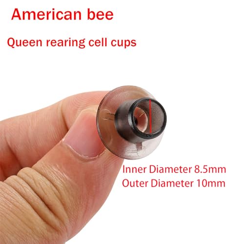 ZffXH JZBZ Beekeeping Queen Cell Cup Holder Frame Bar and Apiculture Mounted Queen Cell Cups Kit (2 Pcs Sides and 4 Pcs Cell Cup Holder Bars Plus 50 Pcs Cell Cups) Queen Rearing Frame for Bees