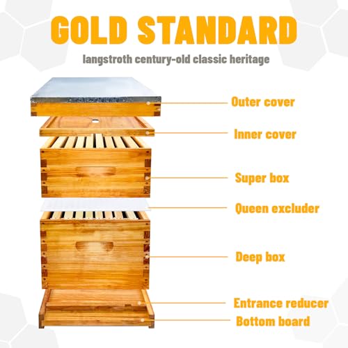Beginner 8 Frame Bee Hive Beeswax Coated Includes Beehive Frames and Foundations (1 Deep Box & 1 Medium Box)