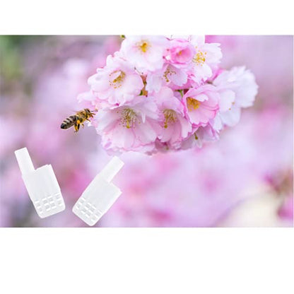 Walfront Queen Bee Cages 10Pcs Plastic Isolator Rearing Catcher Holder Beekeeping Tool