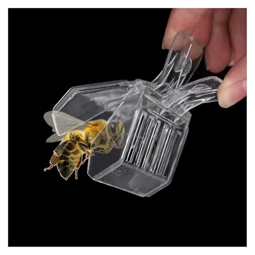 30 Pcs Transparent Clip-on Bee Cages, Plastic Clips, Queen, Catchers, Beekeeping Tools