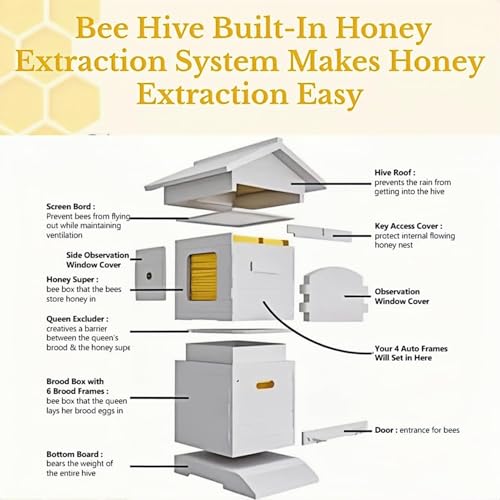 Beehive Starter Kit, Complete Flow Bee Box – Observation Window, Honey Spout, Carpenter Bee House for Garden Pollinators & Beginner Beekeeping