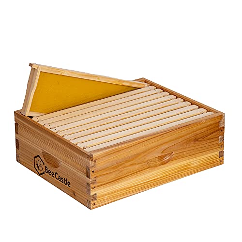 BeeCastle 10 Frame Medium Super Bee Hive Box, Langstroth Honey Bee Hive Dipped in 100% Beeswax Include Beehive Frames and Wax Foundations (Unassembled) - size: 10-Frame