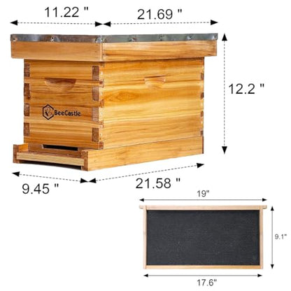 BeeCastle 5 Frame Bee Hive Nuc Box Coated with 100% Beeswax Includes Beehive Frames and Waxed Foundations