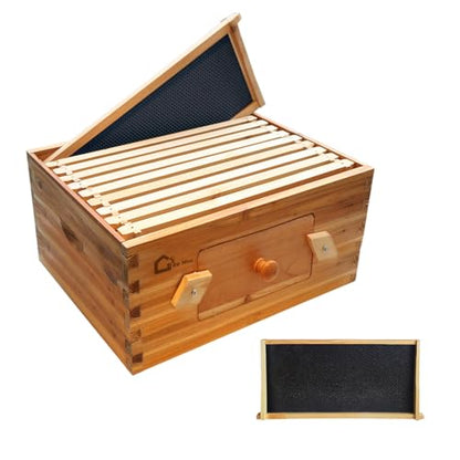 10 Frame Deep Brood Bee Hive Box, Langstoth Beehive Deep Box with Transparent Acrylic Windows, Bee Box Dipped in 100% Beeswax Includes Wooden Beehive Frames & Waxed Foundations for Beginner Beekeeper