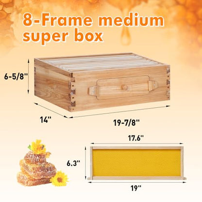 8 Frame Bee Hive Starter Kit with Windows, Beeswax Coated Langstroth Bee Hives Boxes for Beekeepers with Beehive Frames and Waxed Foundations (1 Deep Brood Bee Box & 1 Medium Super Box) - size: 8 Frames 2 Layers