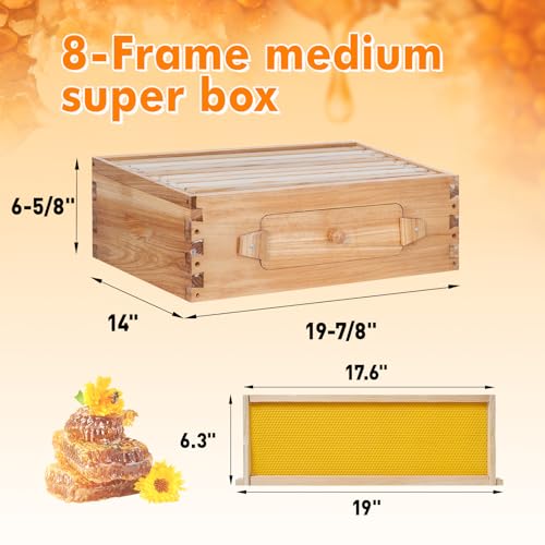 8 Frame Bee Hive Starter Kit with Windows, Beeswax Coated Langstroth Bee Hives Boxes for Beekeepers with Beehive Frames and Waxed Foundations (1 Deep Brood Bee Box & 1 Medium Super Box) - size: 8 Frames 2 Layers