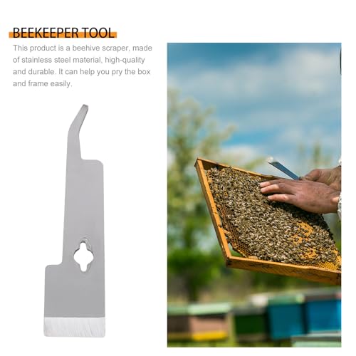 Kisangel Stainless Steel Hive Scraper and Beekeeper Tool for Beehive Cleaning with Curved Edge, Multifunctional Beekeeping Scraper and Frame Lifter for Apiary Maintenance
