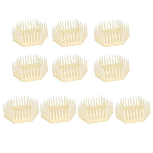 Fdit 10Pcs Plastic Beekeeping Queen Needle Type Bee Cage Queen Cage Beekeeper Tool Beekeeping Equipment