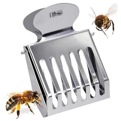Queen Bee Cage 20pcs Bee Queen Cage Transparent Plastic Clip Catcher Box Stainless Steel clamp Beekeeping Equipments Beekeeper Equip