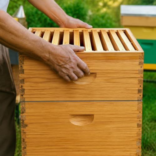 Honey Lake 10 Frame Medium Super Bee Hive Box, Langstroth Beehive Super Honey Bee Box Dipped in Beeswax Include Beehive Frames and Waxed Foundations for Beginners Beekeepers (Unassembled) - size: 10-Frame Medium